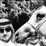 عآشق🐎🐎 profil fotoğrafı