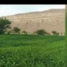 الماجد 的头像