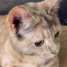 Clarkus's profile picture