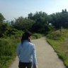 rie_tomioka_flying_cat's profile picture