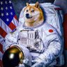 dogestyle 的头像