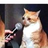 XxwruffXx😿🥺 profil fotoğrafı