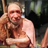 Homosapien 🇩🇪🇲🇦 profil fotoğrafı