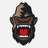 Capitán Gorilla's profile picture