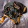 Фото профиля Mario chago valdeblanquez barros