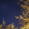 Фото профиля Shey