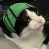 teetheater's profile picture