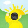 Profilbild von 🌻Pingxxth🌻
