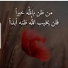 albahraini 的头像