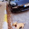 obiz 的头像