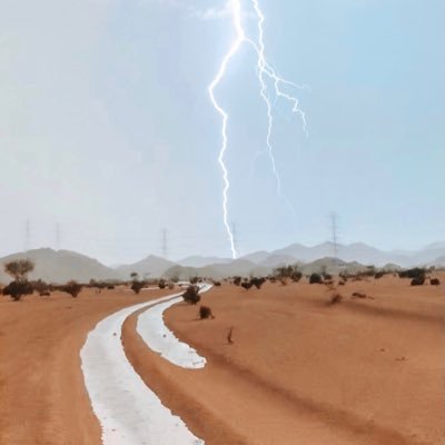 amaralhmaddi's profile picture