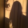 فاطمة🦋's profile picture