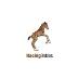 RacingBabies profil fotoğrafı