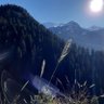 ललकार 🇮🇳 profil fotoğrafı