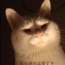 Фото профиля Linux用户