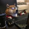 Profilbild von ElvisLee