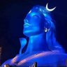 n chandrasekaran's profile picture