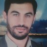شاهین پورمند's profile picture