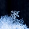 snow flake profil fotoğrafı