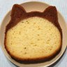 Profilbild von ねこメタX🐱🎸