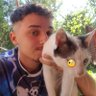 Henrique Ale's profile picture