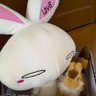 米 璃鈴(よね りすず)🐰🌱👒🌺🔯🥐🐏🍬🐏⚙️123🦊🍡🥀✨🌔's profile picture