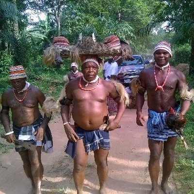 Odinala Ndi IGBO's profile picture