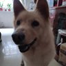 Profilbild von 刘小聪