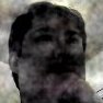 Profilbild von Greytusks