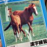 Фото профиля じゃぽにか先生