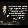 Filiz M.'s profile picture