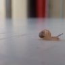 Фото профиля Vito