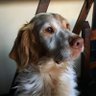MarceloG63 profil fotoฤrafฤฑ