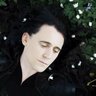 GabbiLokisdóttir 🦊🐍💚🐊 ४LOKI ᛚᛟᚲᛁ's profile picture