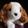 えりっち🐶消費税廃止!インボイス消滅's profile picture