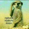 Profilbild von Nkule khethukuthula Mahlaba