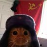 Profilbild von stalinsorgan ๐ต๐ธ ๐ณ๏ธโ๐ ๐๐ป