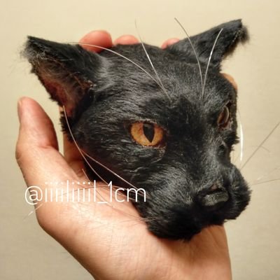 iiiiliiiil_1cm's profile picture