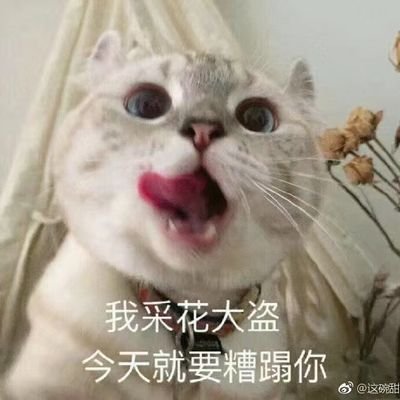 Zhengjingren996's profile picture