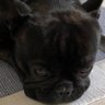 AFr@dinh• profil fotoğrafı