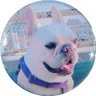 さくらこ's profile picture