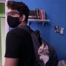 Julian Pierini's profile picture