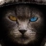 周 profil fotoğrafı