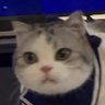 Profilbild von 赵云潇