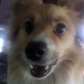 Profilbild von Freek