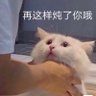 暗是嫩's profile picture