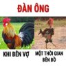 Profilbild von tuấn