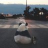 深默's profile picture