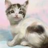 くろごませんべい's profile picture