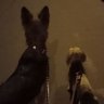 Bounce 的头像